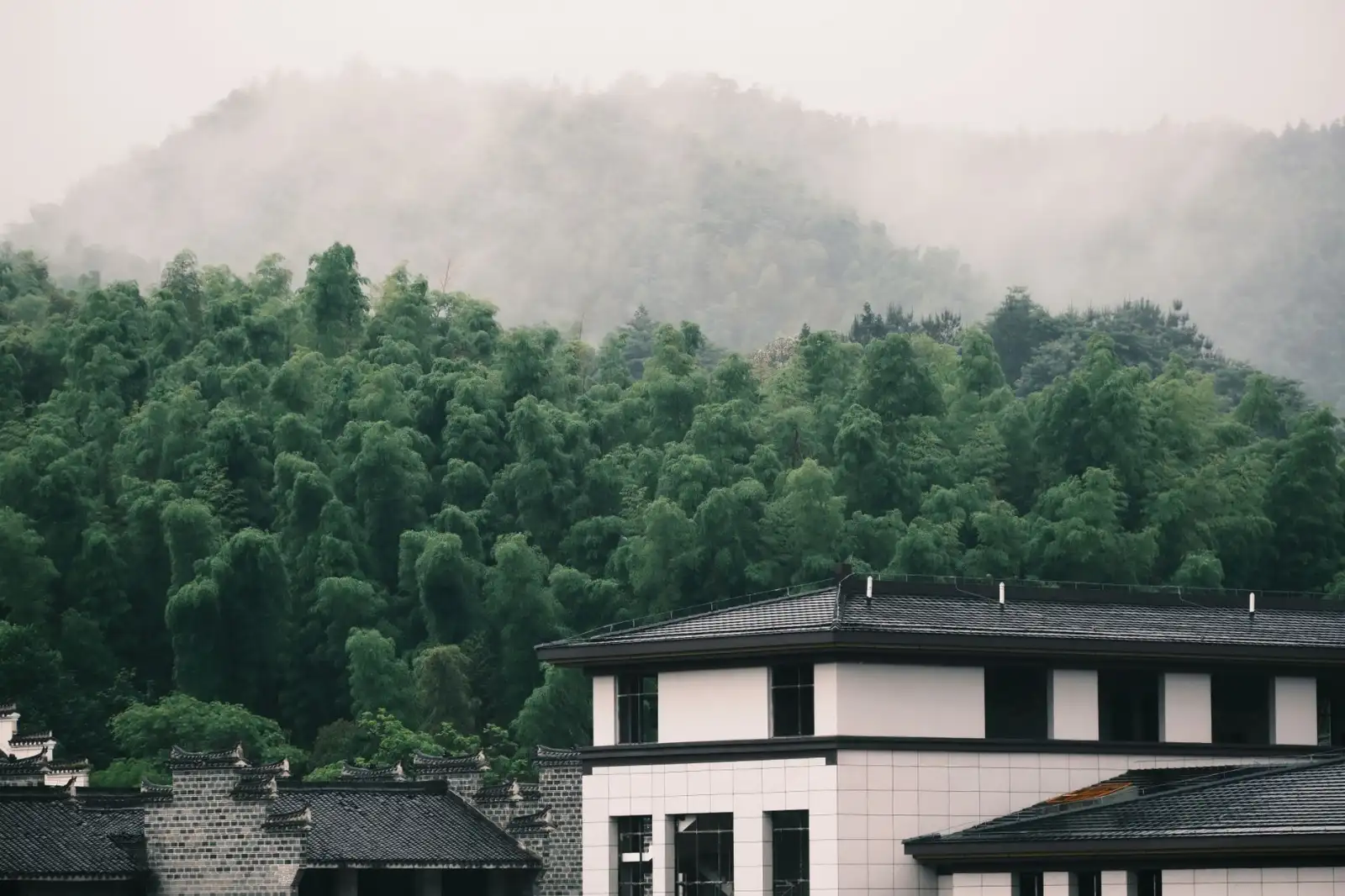 上海沉山贸易有限公司厨具餐具选型对比：材质与耐用性分析