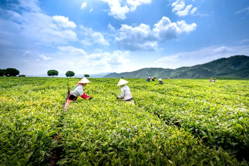 家用厨具餐具选购指南：适配餐饮客户的材质与规格解析