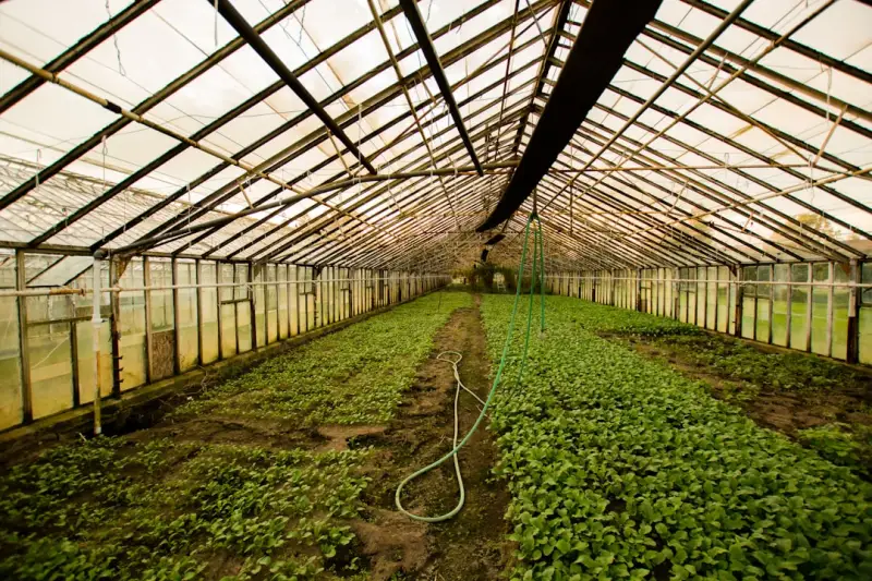 厨具餐具材质选择对比：不锈钢与陶瓷的适用场景解析