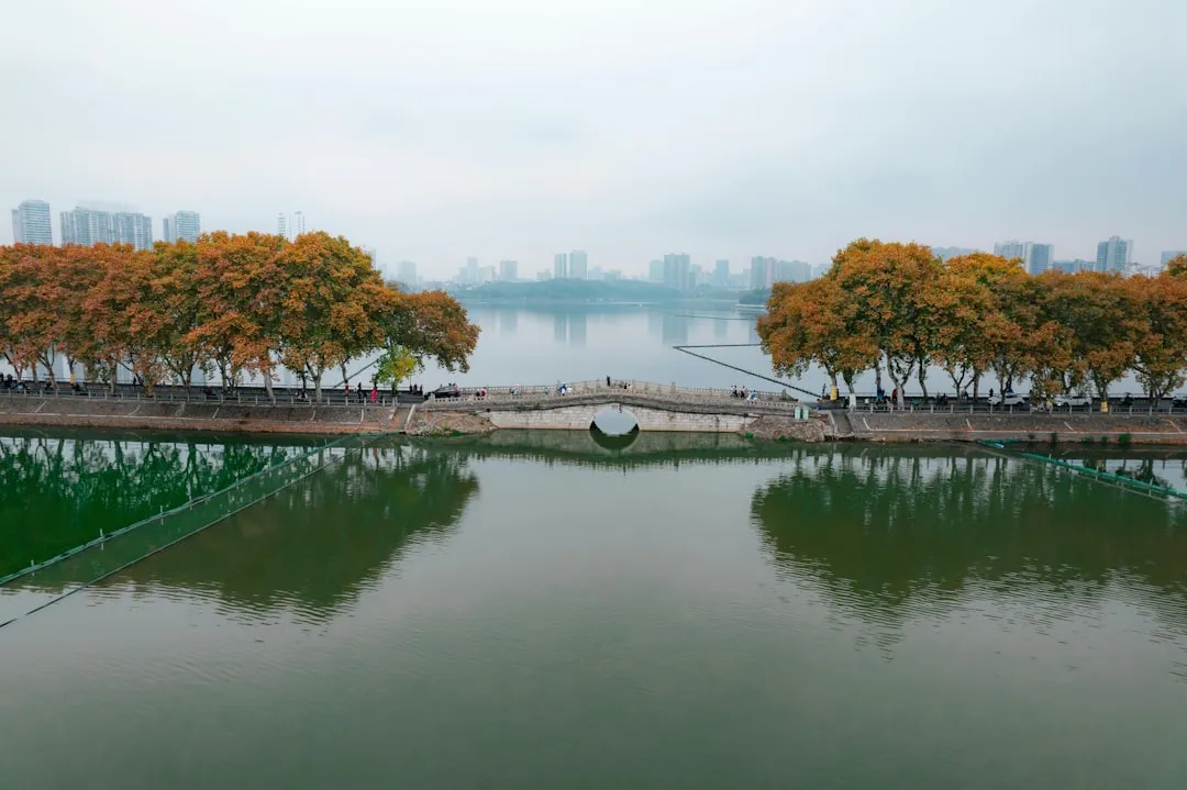 上海地区日用百货批发供应链优化策略与趋势分析