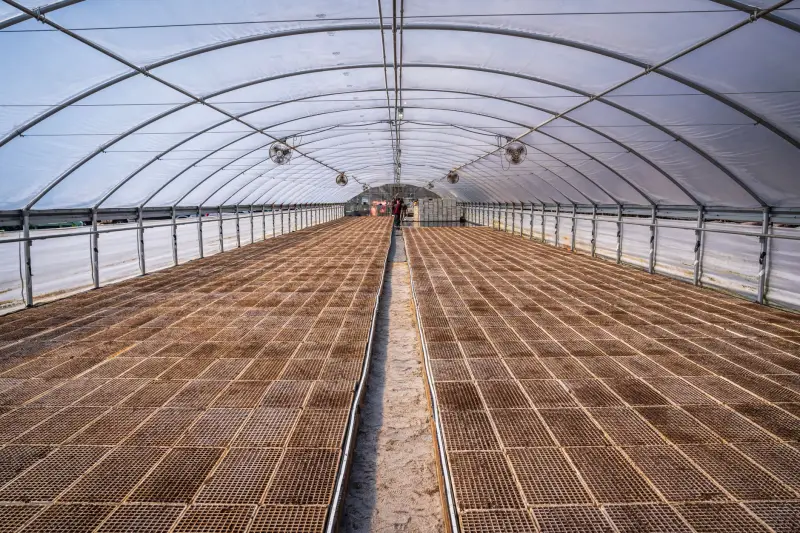 上海沉山贸易有限公司厨具餐具批发：304不锈钢与陶瓷材质对比分析